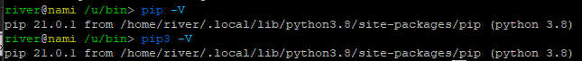 The commands pip -V and pip3 -V with the right outputs!